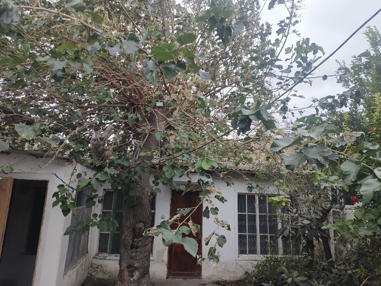5 otaqlı Həyət evi/Bağ evi, Əmircan q., Bakı