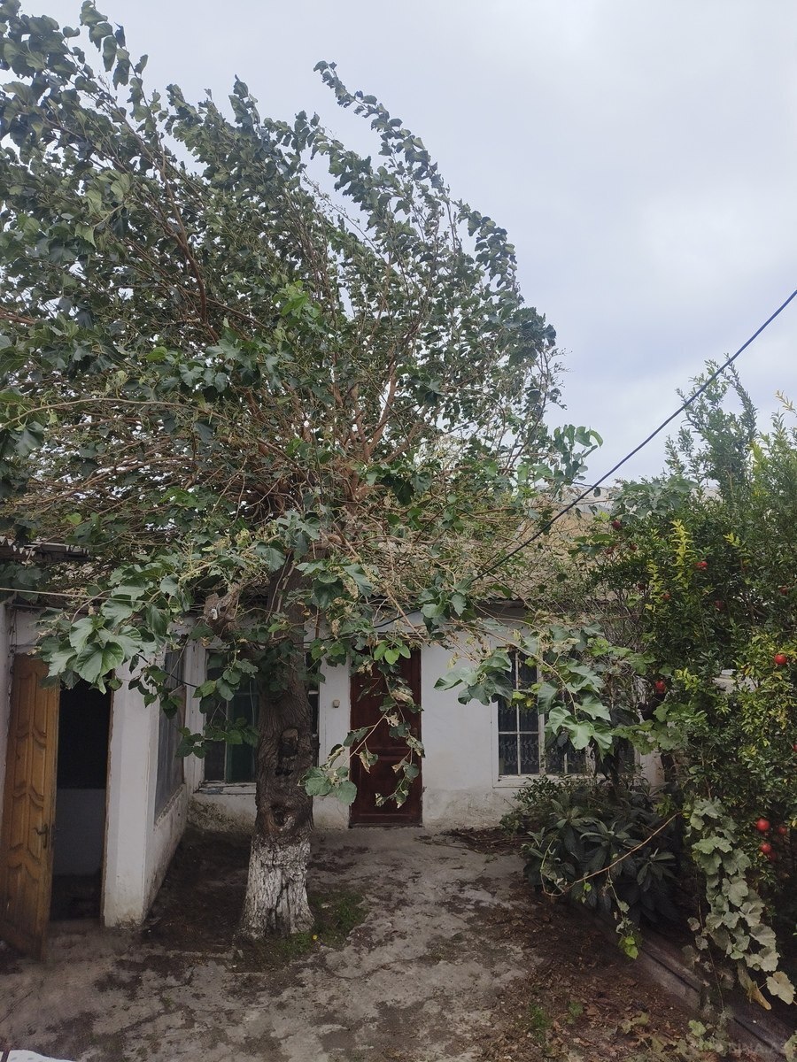 5 otaqlı Həyət evi/Bağ evi, Əmircan q., Bakı
