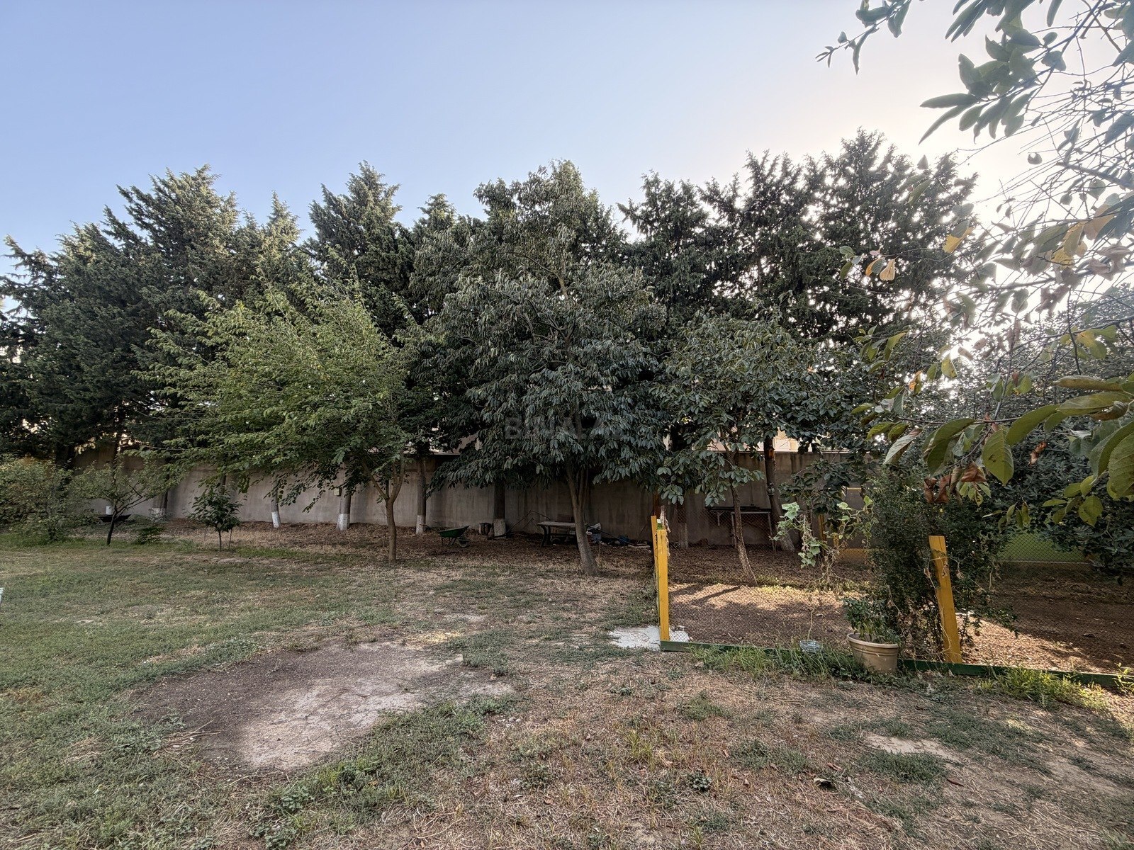 Torpaq Bakıxanov q., Bakı