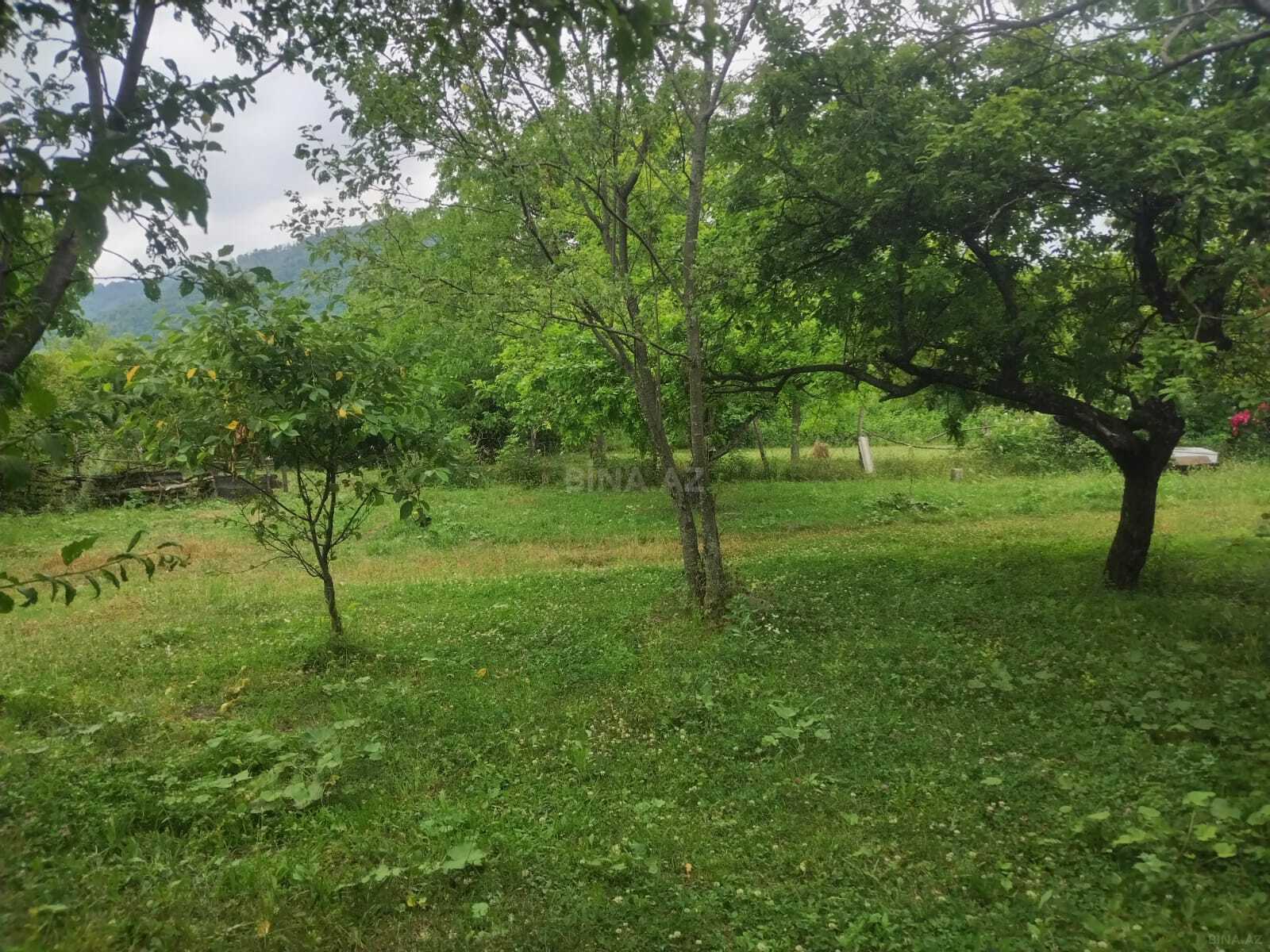 3 otaqlı Həyət evi/Bağ evi, Qəbələ