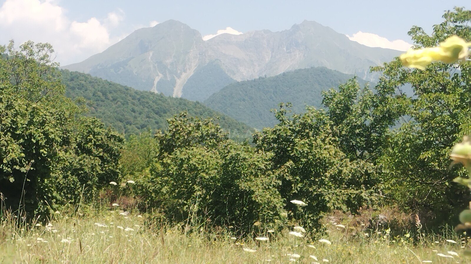 3 otaqlı Həyət evi/Bağ evi, Qəbələ