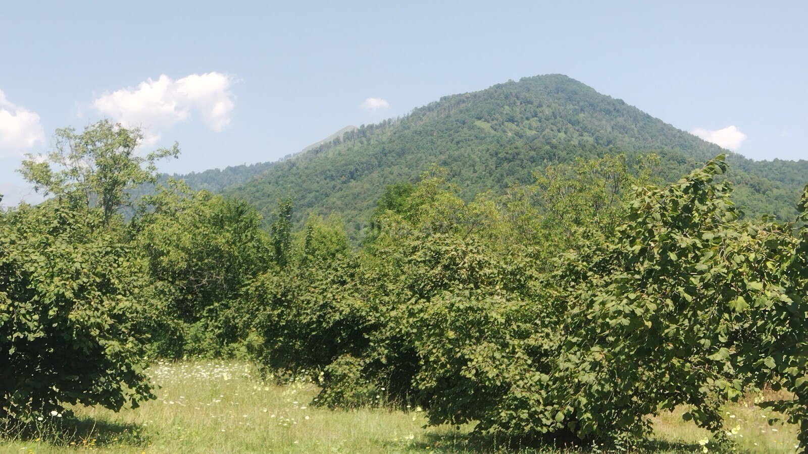 3 otaqlı Həyət evi/Bağ evi, Qəbələ