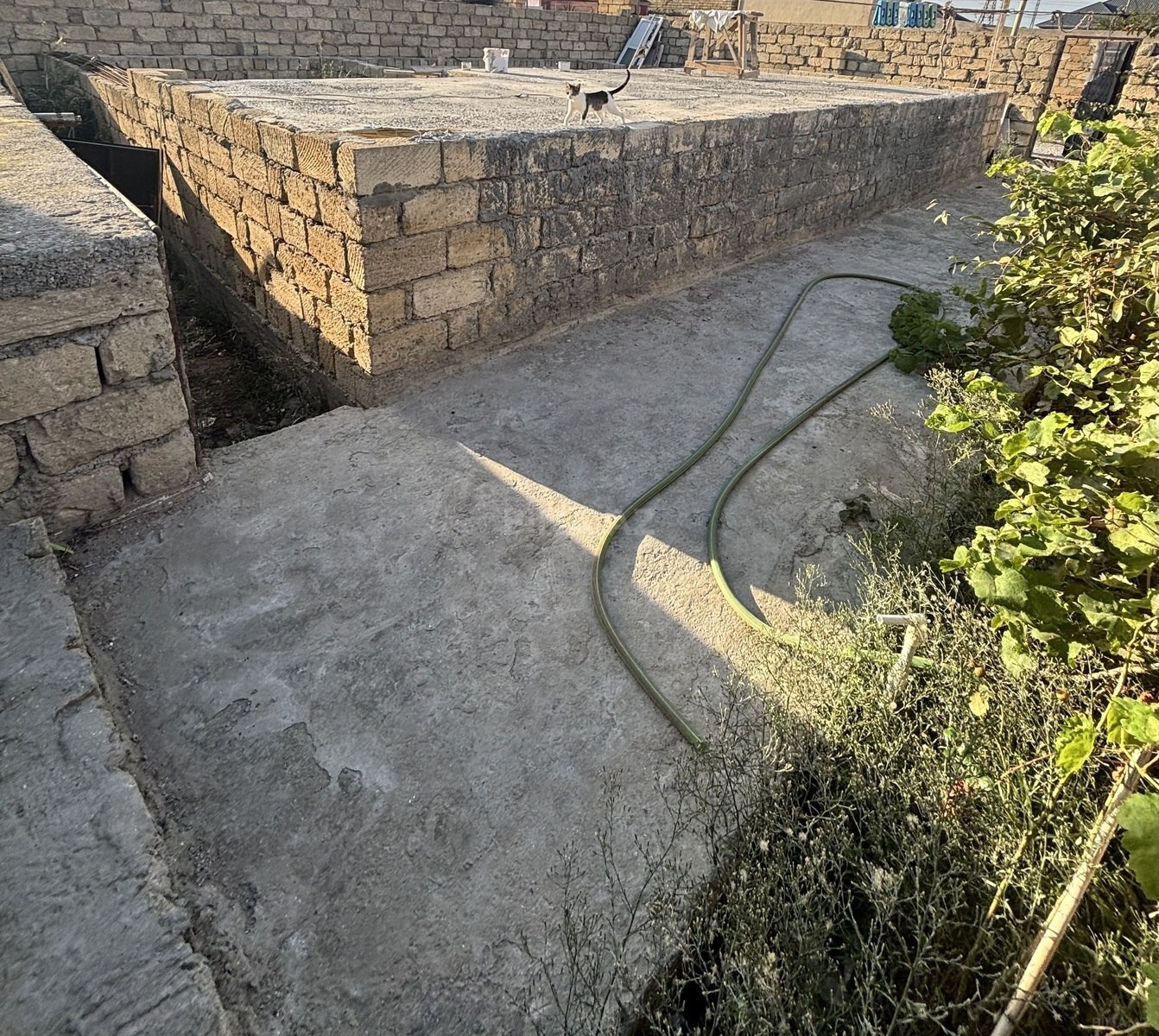 Torpaq Biləcəri q., Bakı
