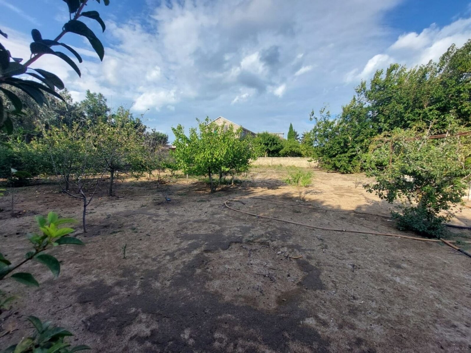Torpaq Bilgəh q., Bakı