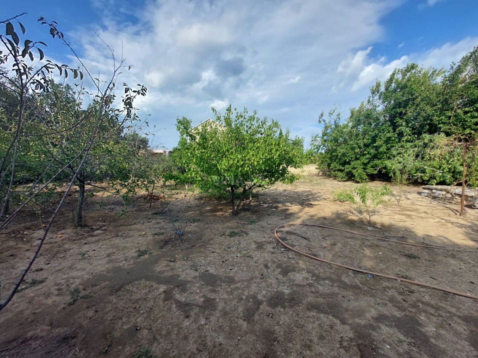 Torpaq Bilgəh q., Bakı