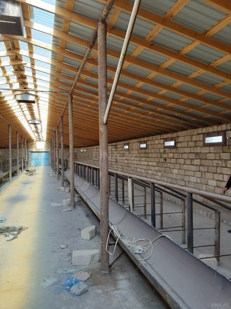 Obyekt Müşfiqabad q., Bakı