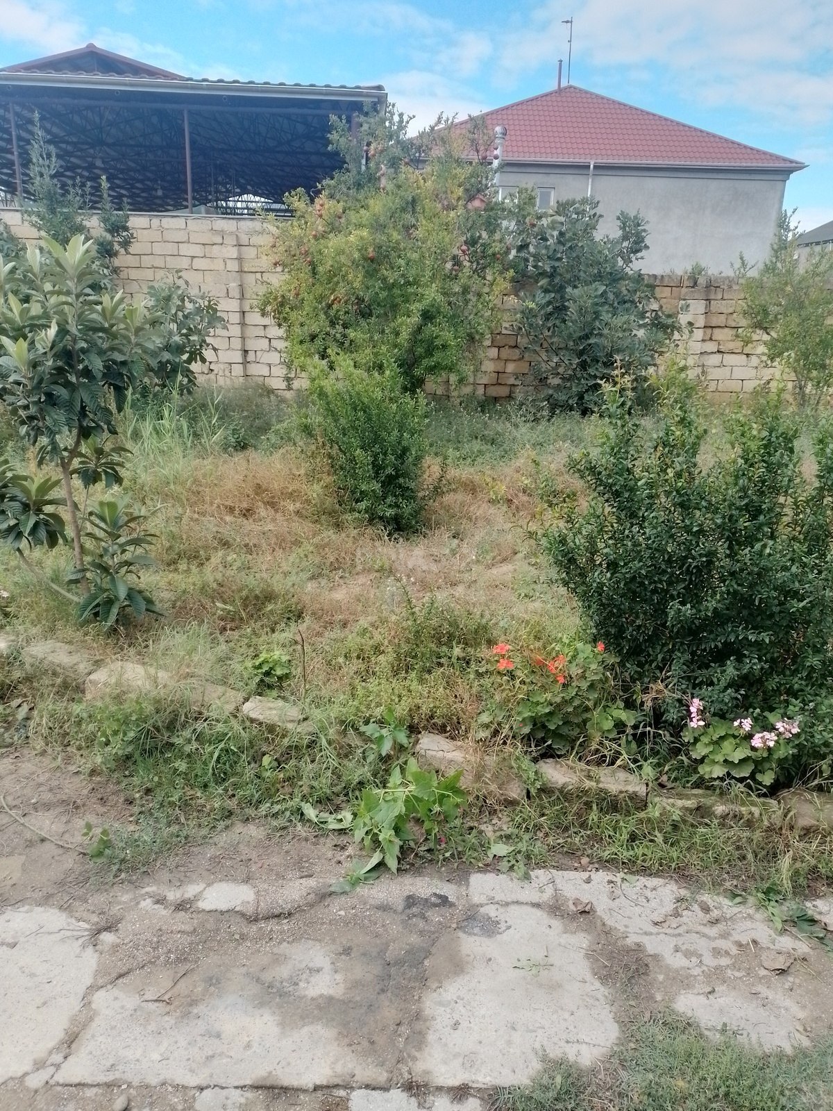 Torpaq Mehdiabad q., Bakı