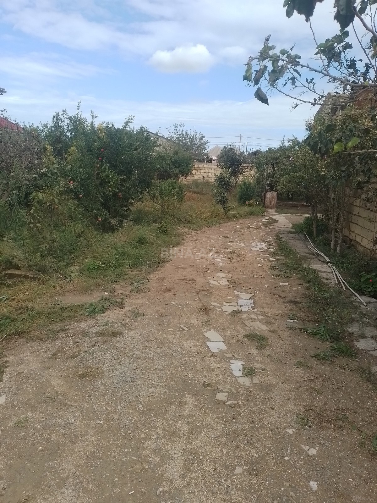 Torpaq Mehdiabad q., Bakı