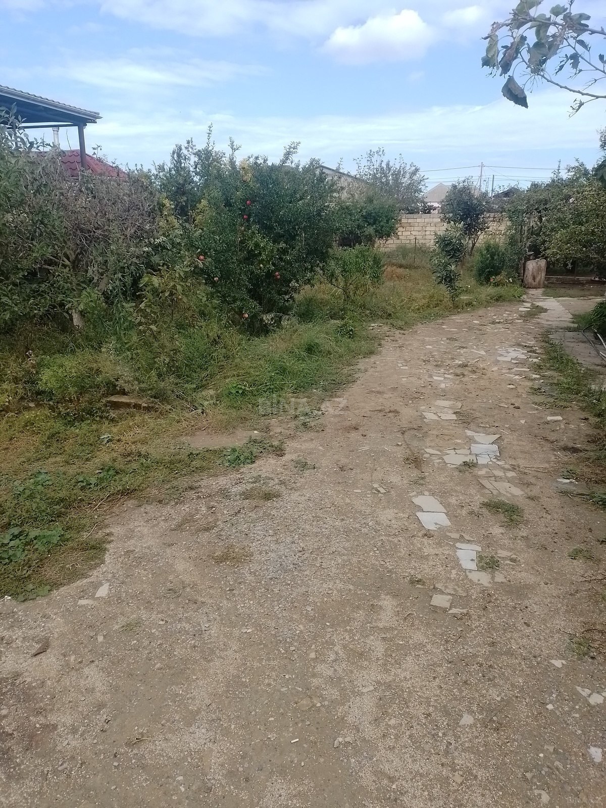 Torpaq Mehdiabad q., Bakı