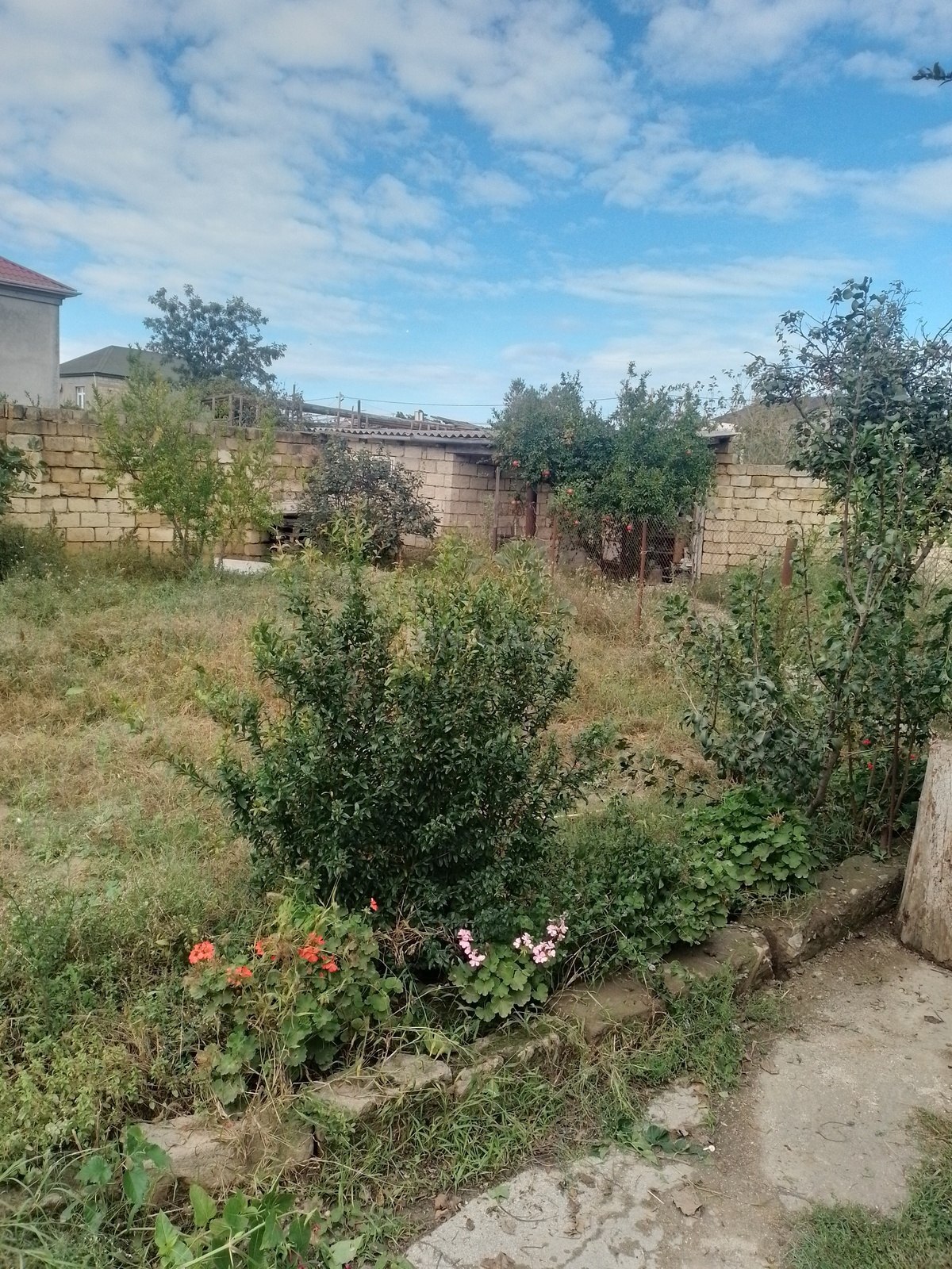 Torpaq Mehdiabad q., Bakı