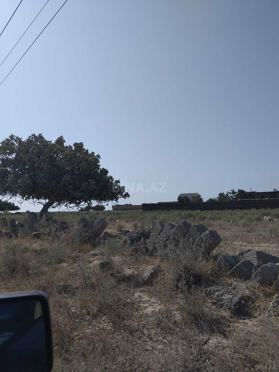 Torpaq Türkan q., Bakı
