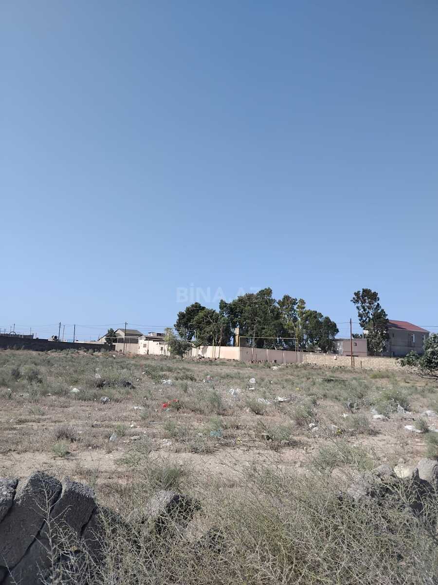 Torpaq Türkan q., Bakı