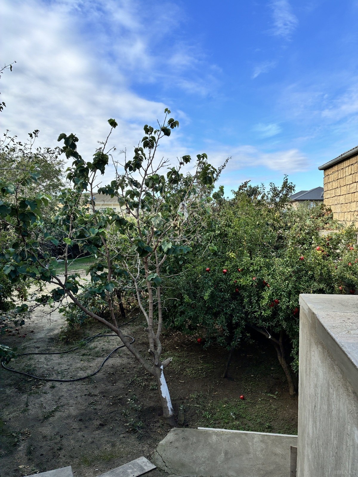6 otaqlı Həyət evi/Bağ evi, Saray q., Bakı