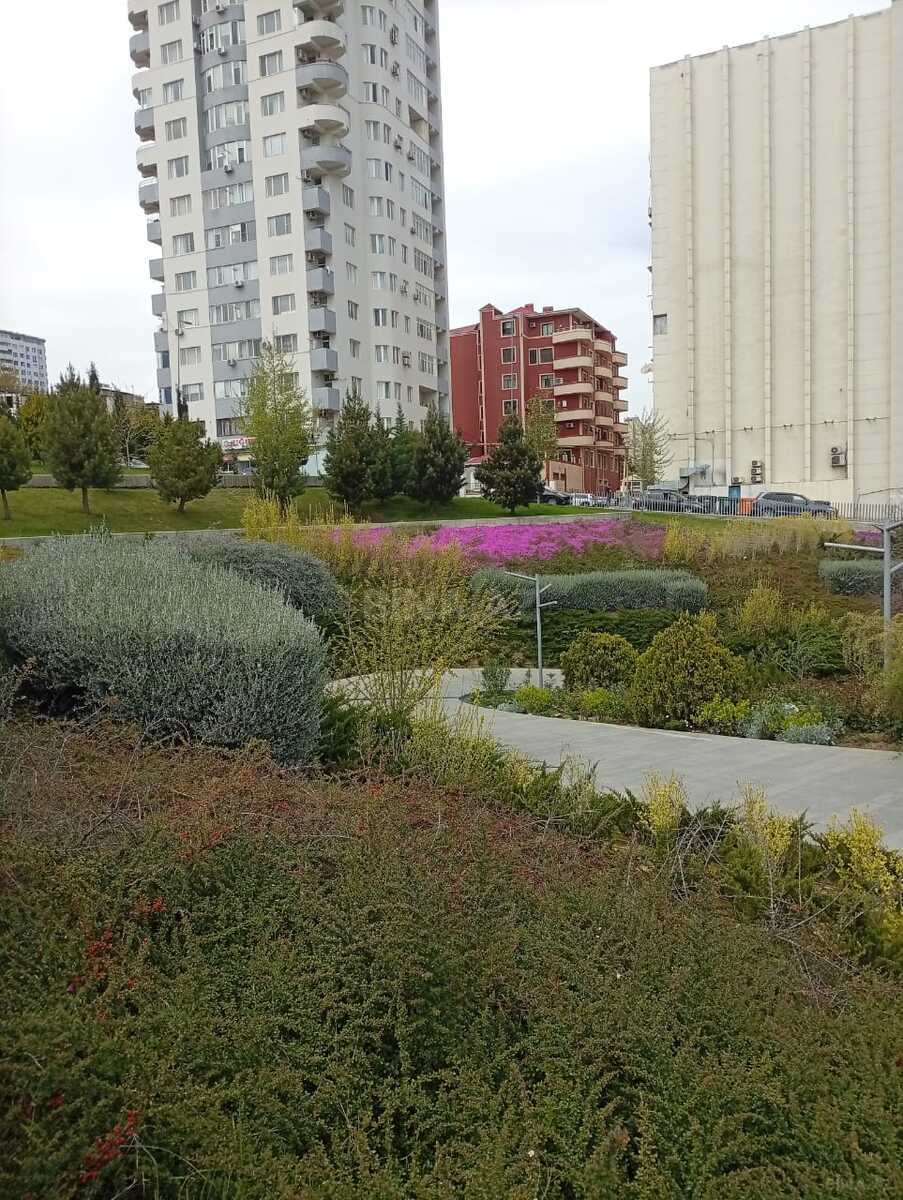 2 otaqlı Yeni tikili, Elmlər Akademiyası m., Bakı
