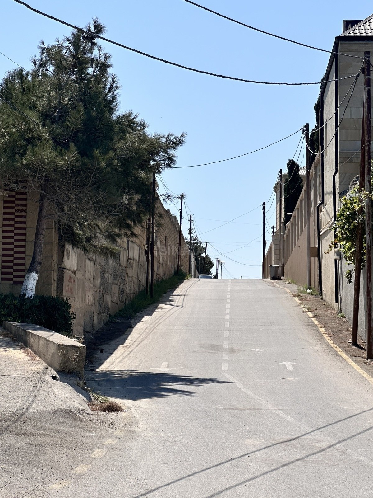 Torpaq Görədil q., Bakı