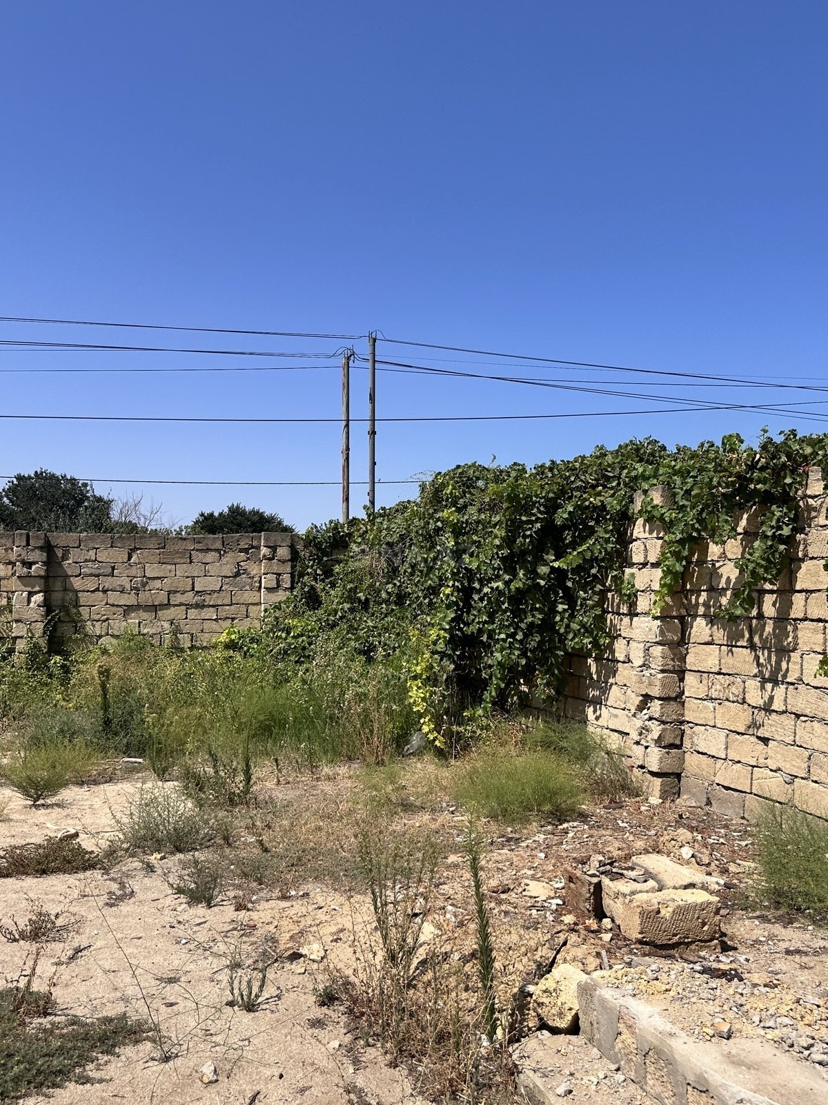 Torpaq Görədil q., Bakı