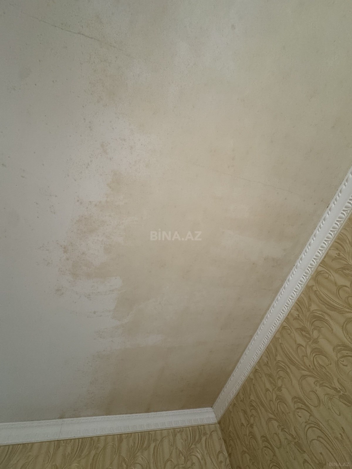 5 otaqlı Həyət evi/Bağ evi, NZS q., Bakı