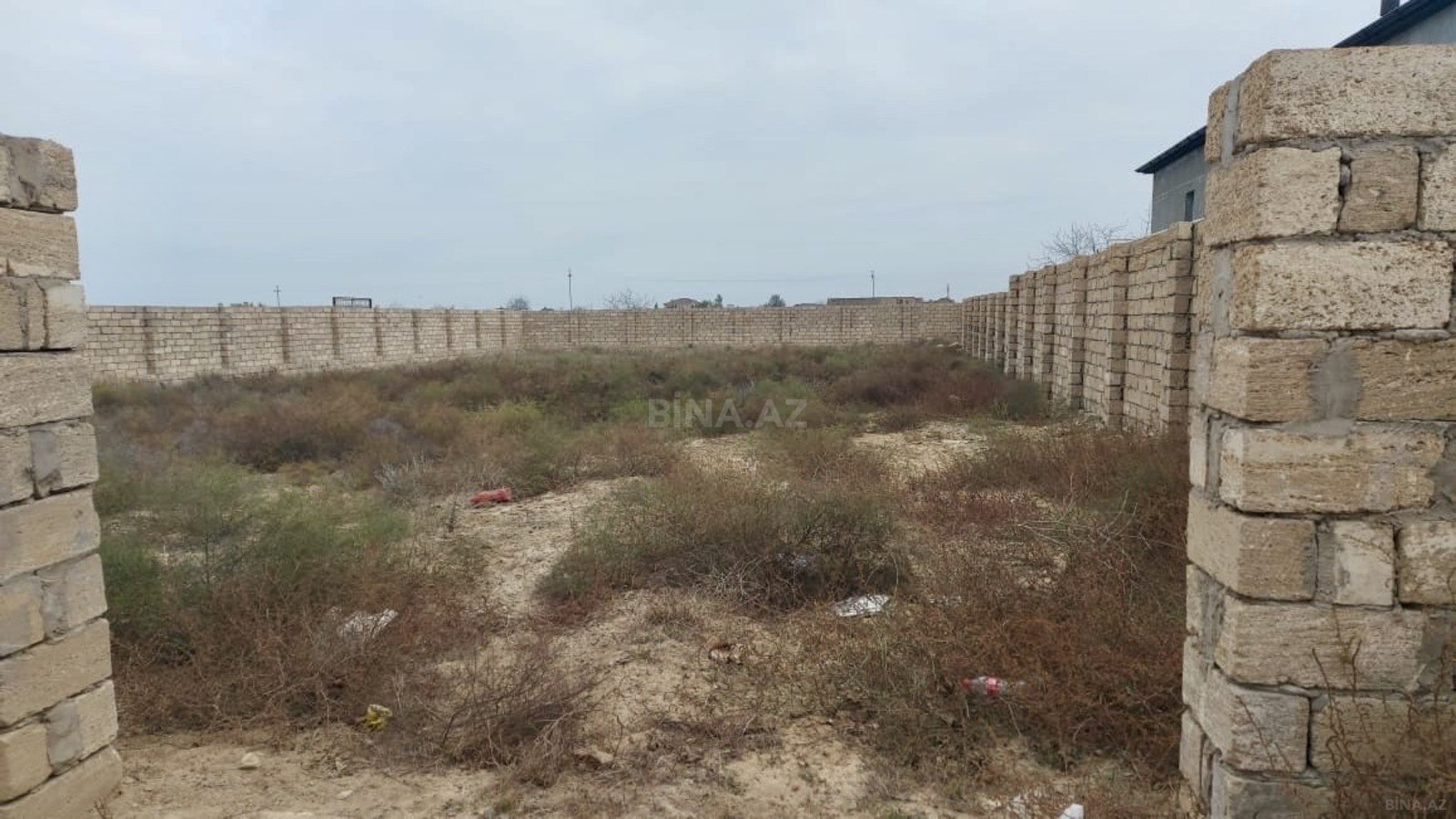 Torpaq Nardaran q., Bakı