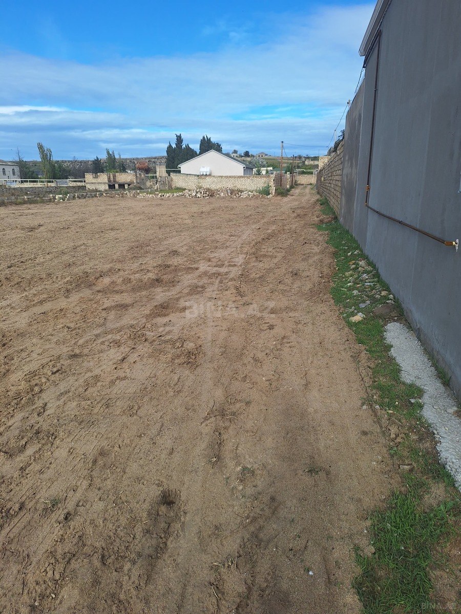 Torpaq Nardaran q., Bakı