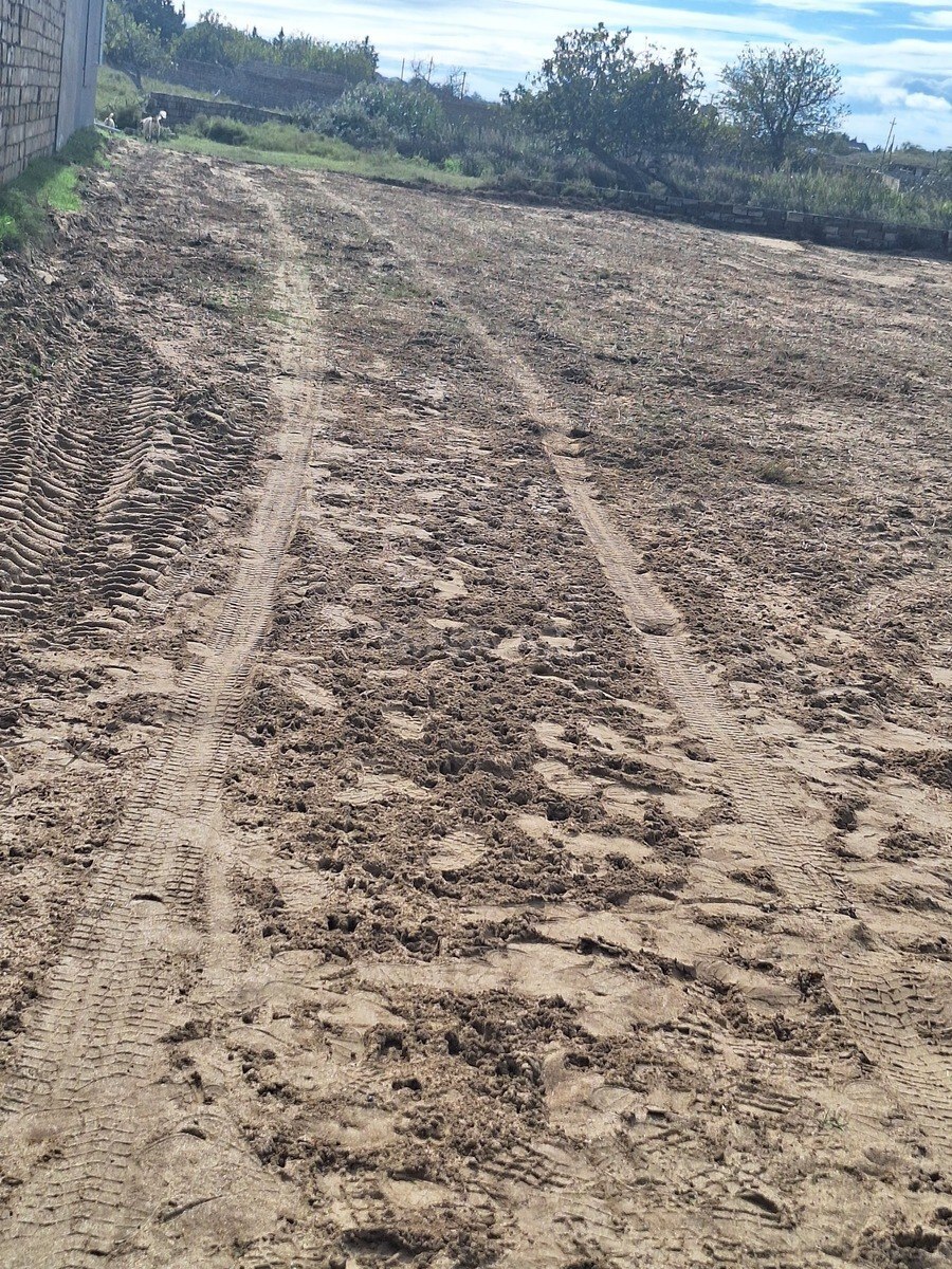 Torpaq Nardaran q., Bakı