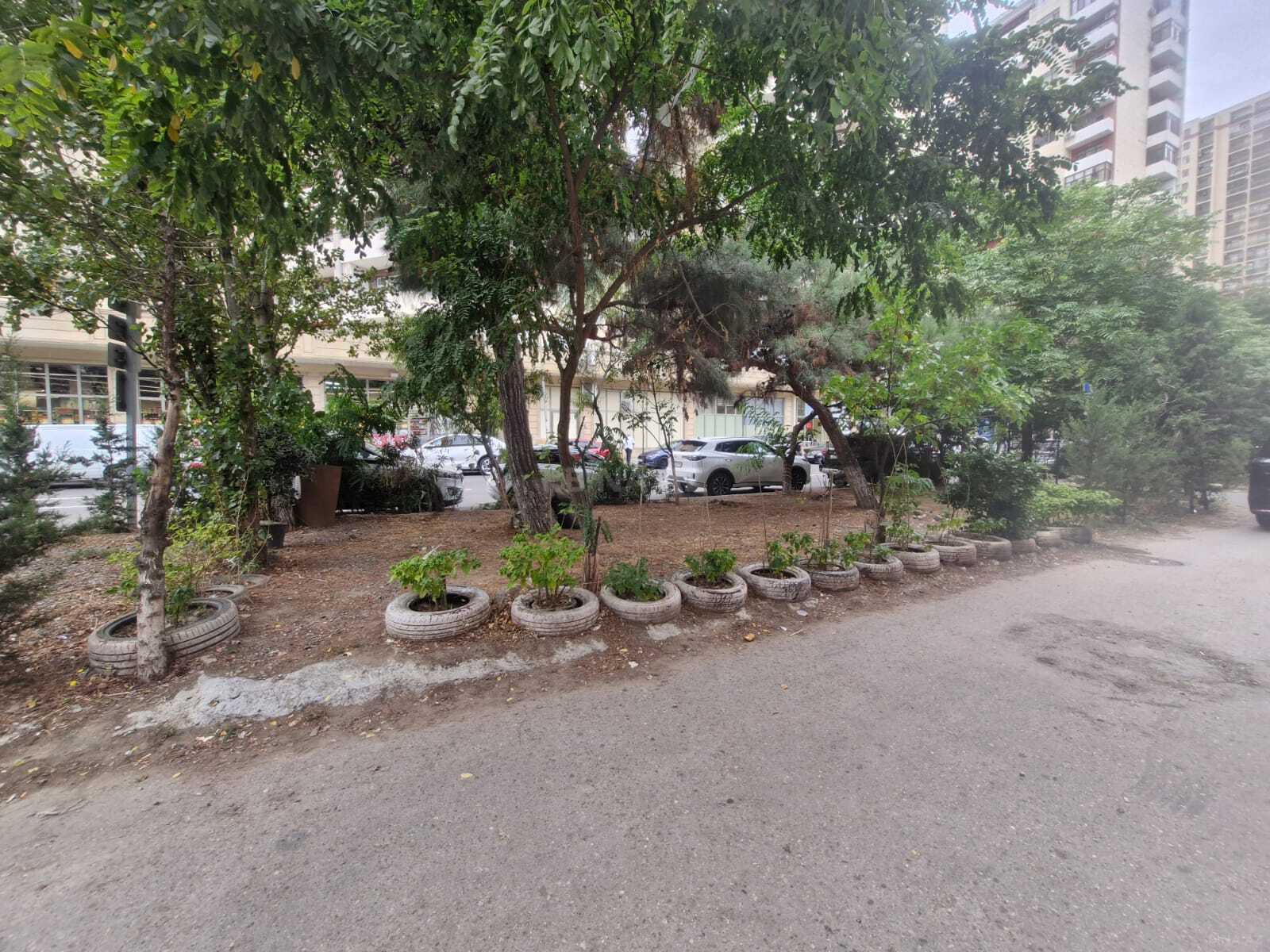 Obyekt Elmlər Akademiyası m., Bakı