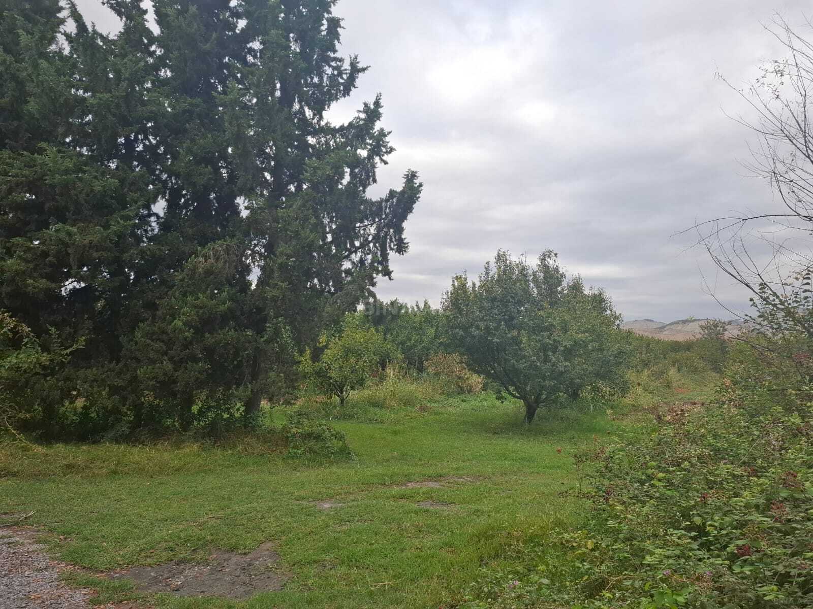 Torpaq Göyçay