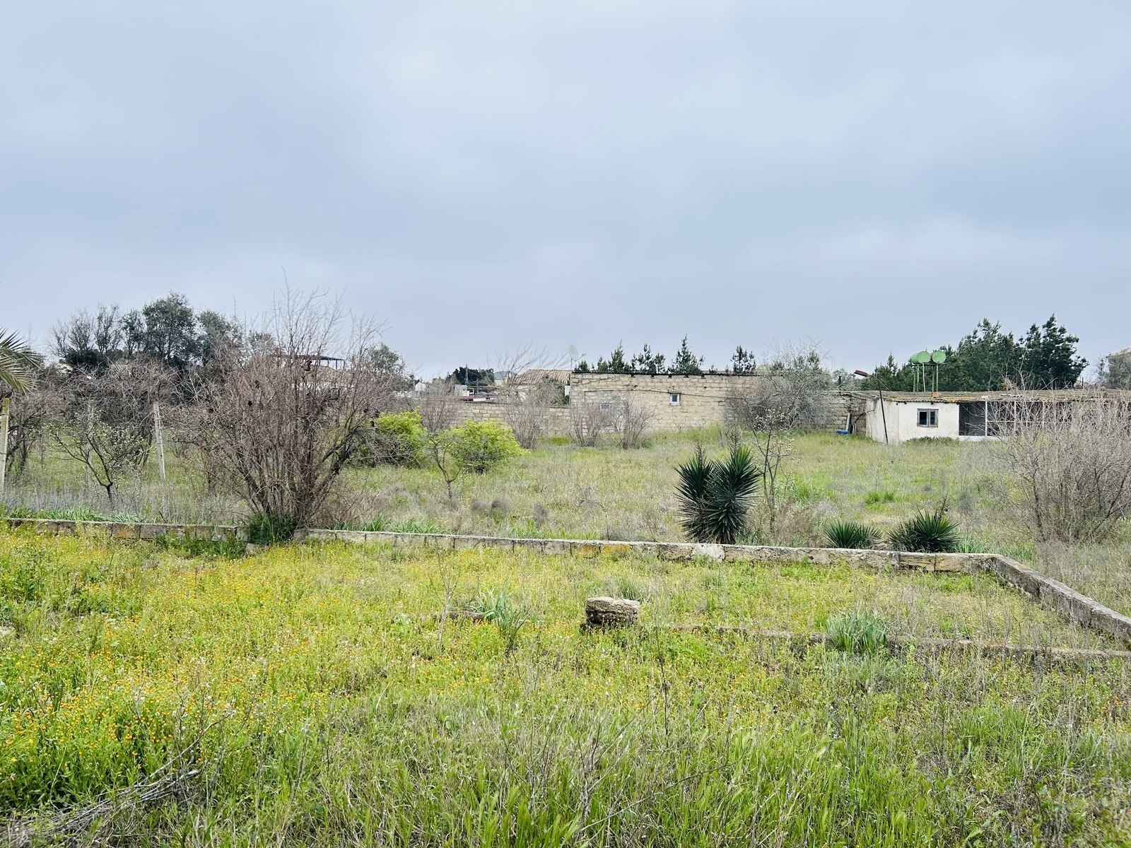 Torpaq Mərdəkan q., Bakı