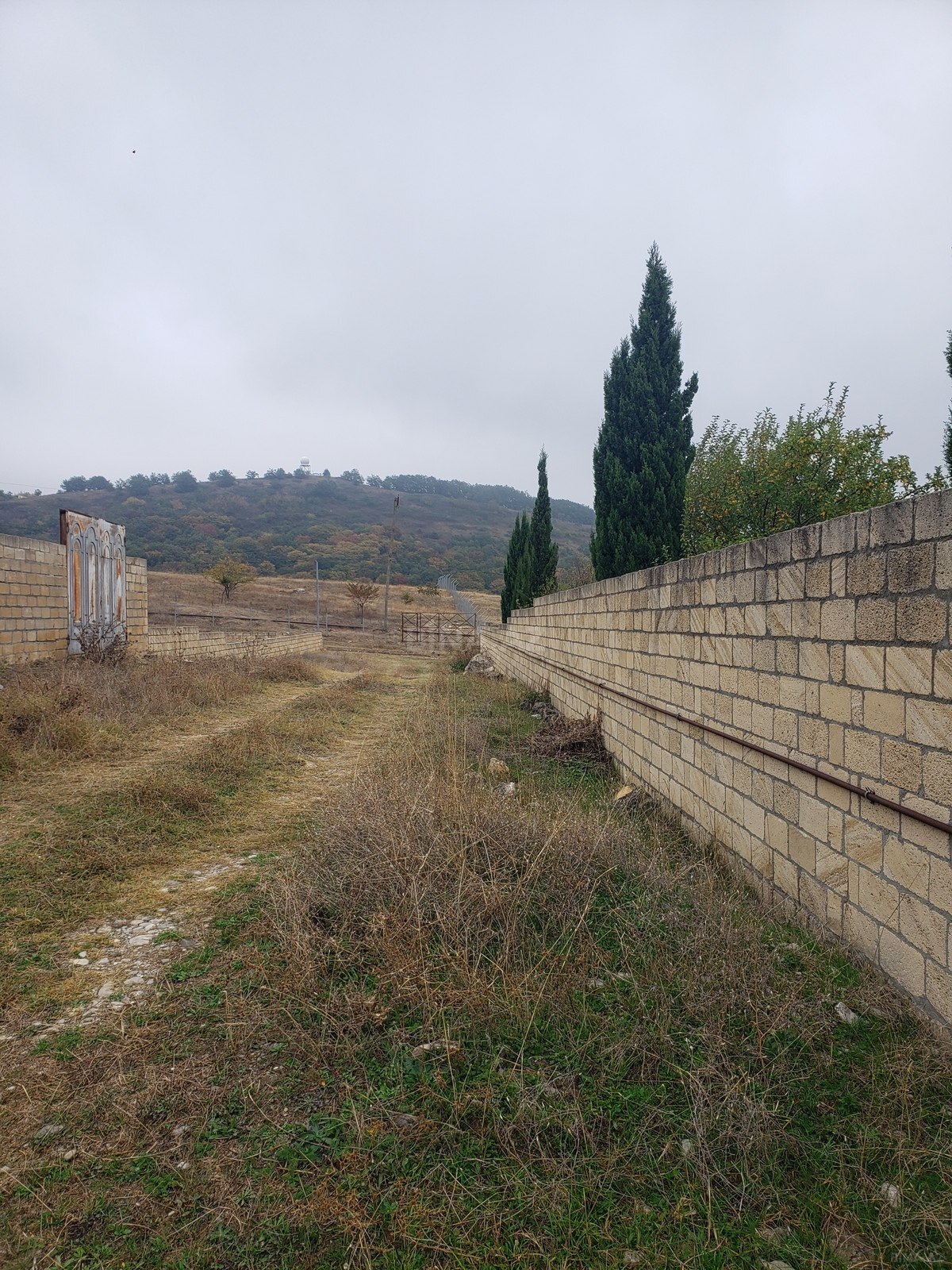Torpaq Şamaxı
