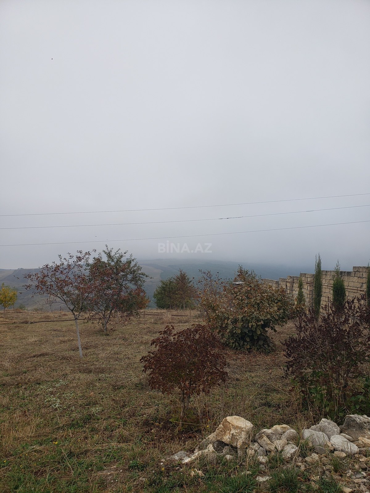 Torpaq Şamaxı
