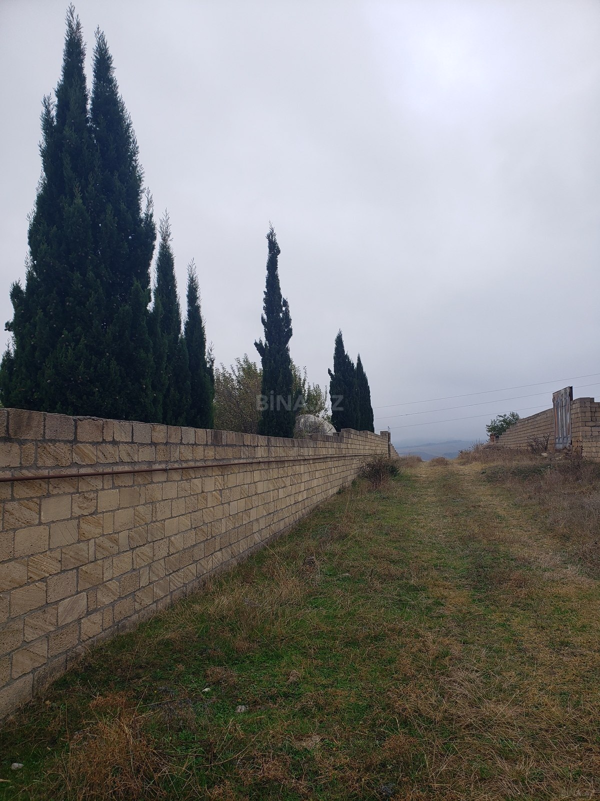 Torpaq Şamaxı