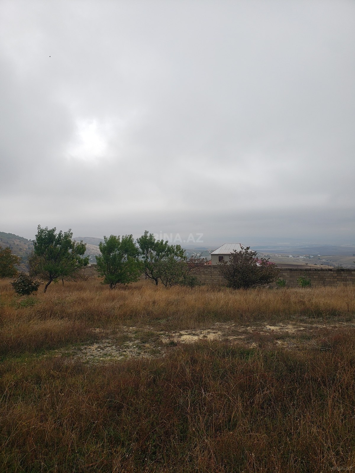Torpaq Şamaxı