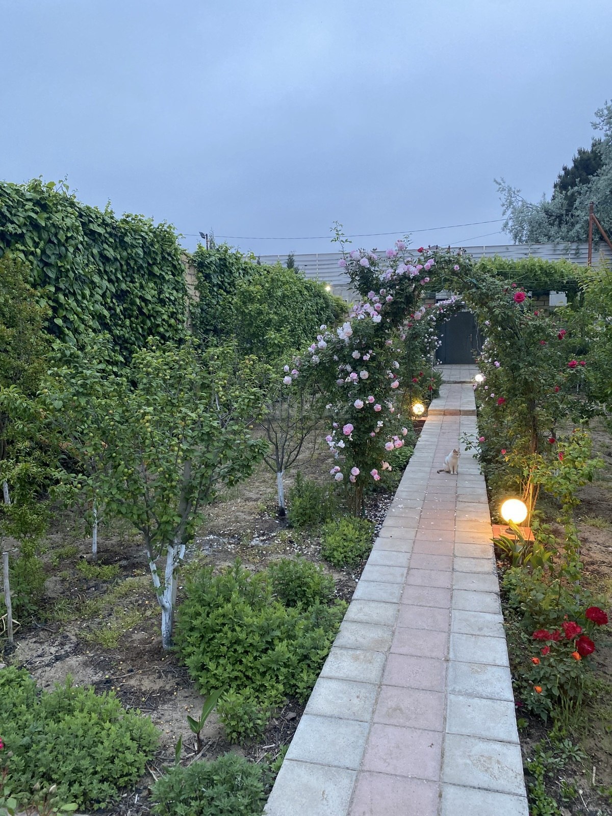 3 otaqlı Həyət evi/Bağ evi, Fatmayı q., Bakı