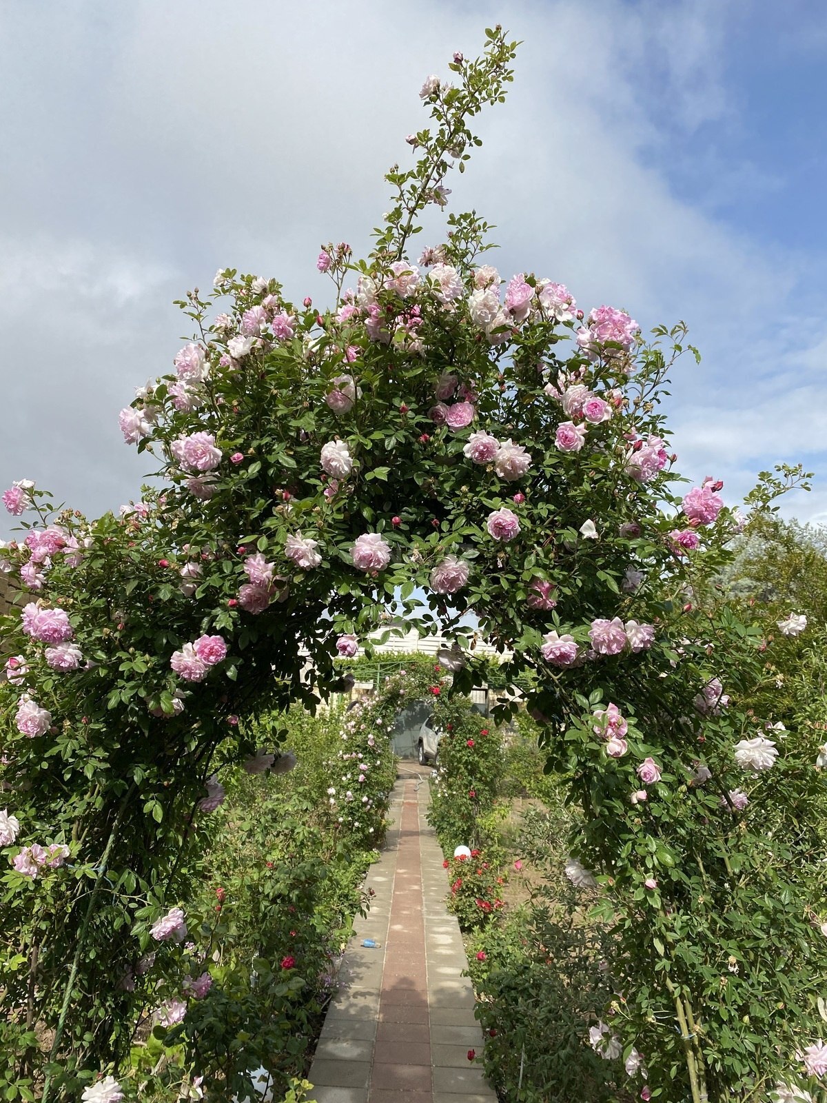 3 otaqlı Həyət evi/Bağ evi, Fatmayı q., Bakı