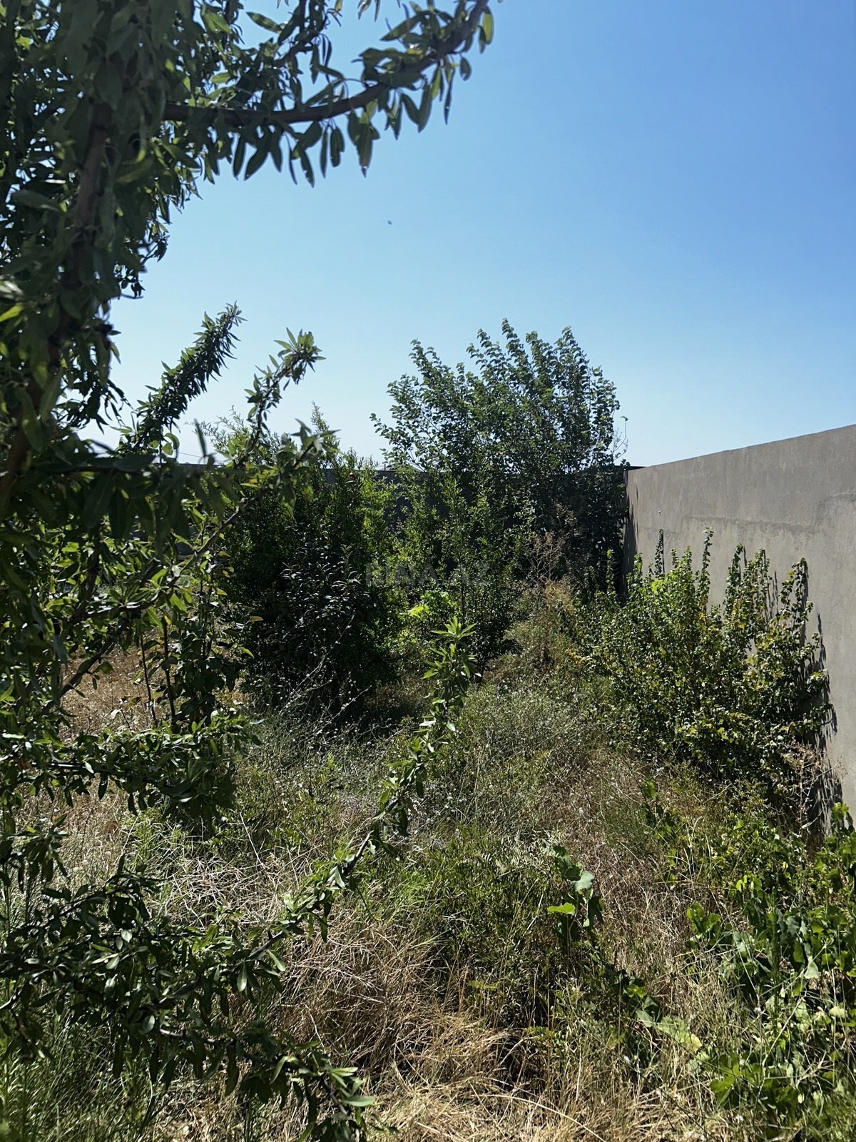4 otaqlı Həyət evi/Bağ evi, Nardaran q., Bakı