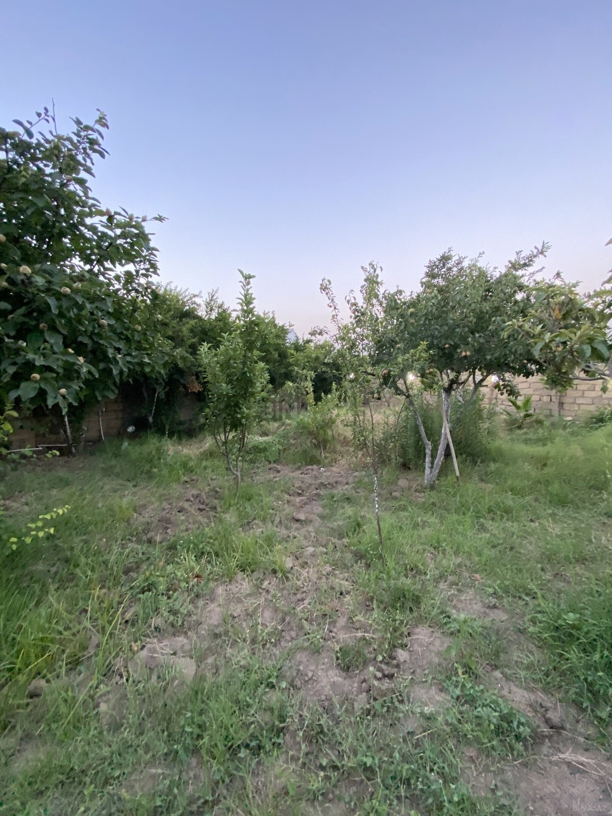 3 otaqlı Həyət evi/Bağ evi, Xocəsən q., Bakı