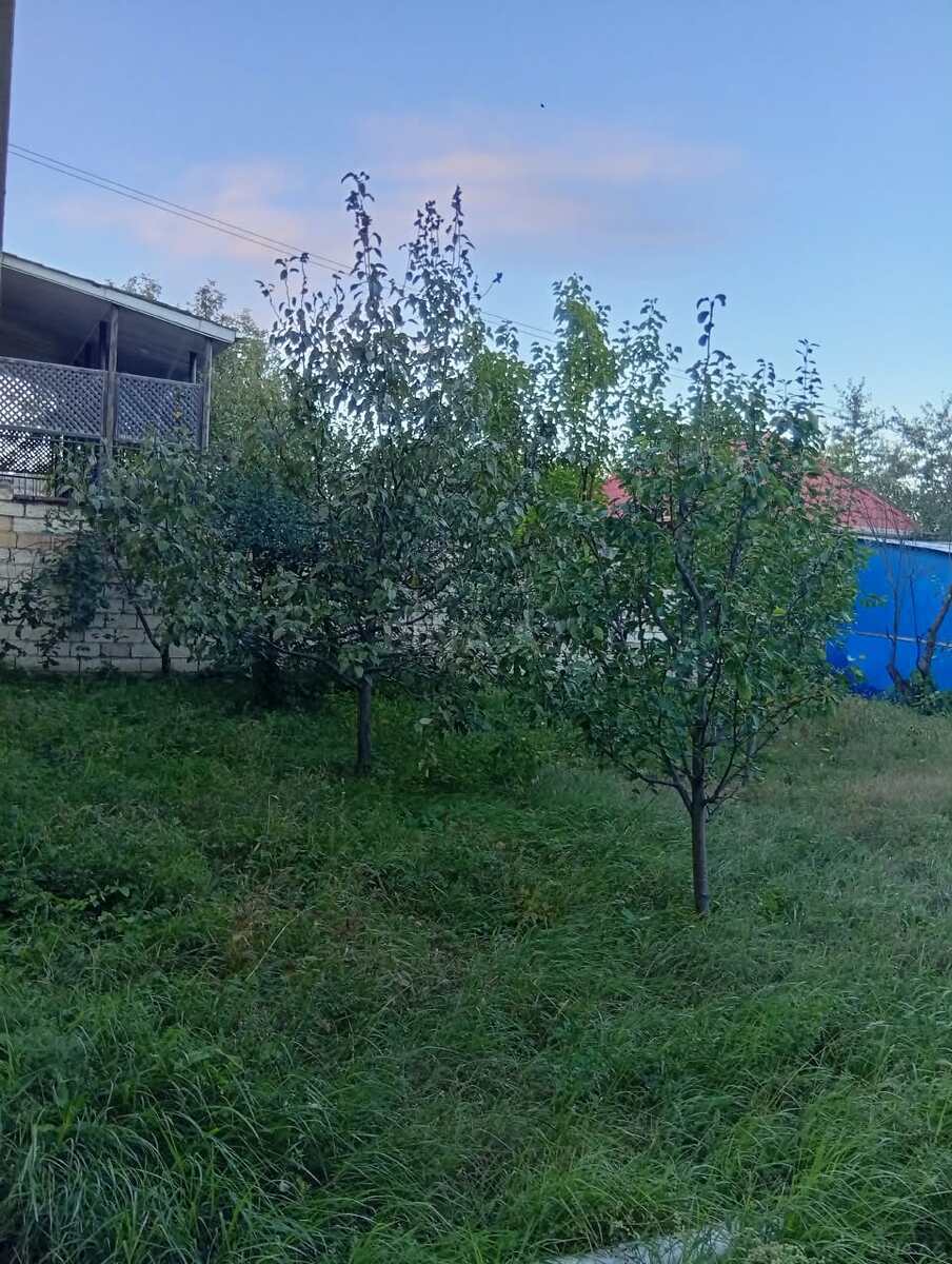 7 otaqlı Həyət evi/Bağ evi, Quba