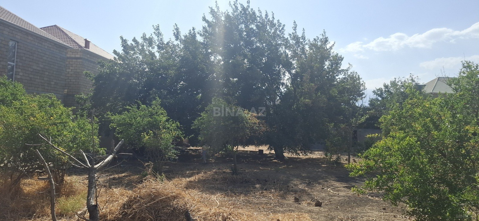 Torpaq Mehdiabad q., Bakı