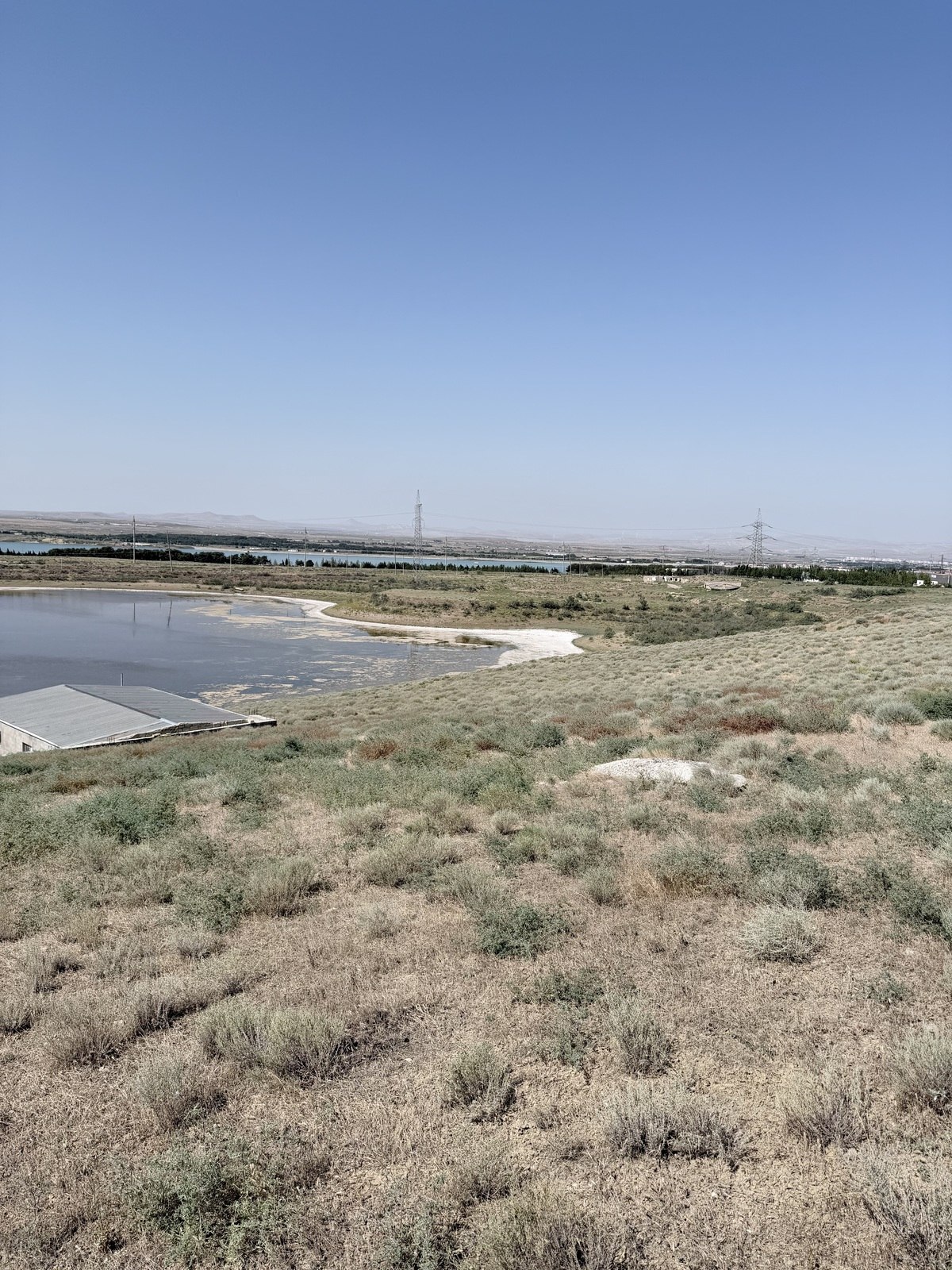 Torpaq Saray q., Bakı