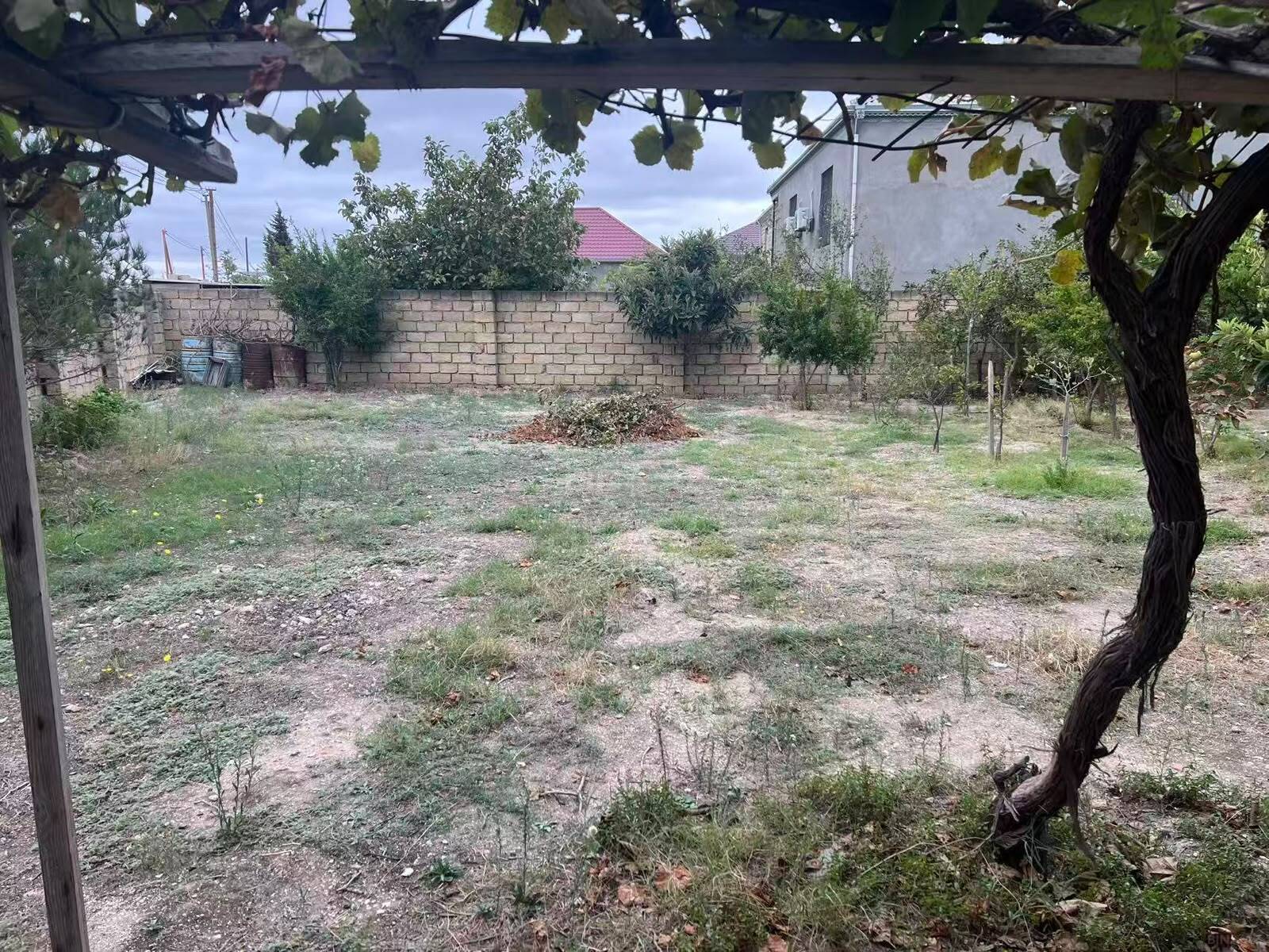 Torpaq Mehdiabad q., Bakı