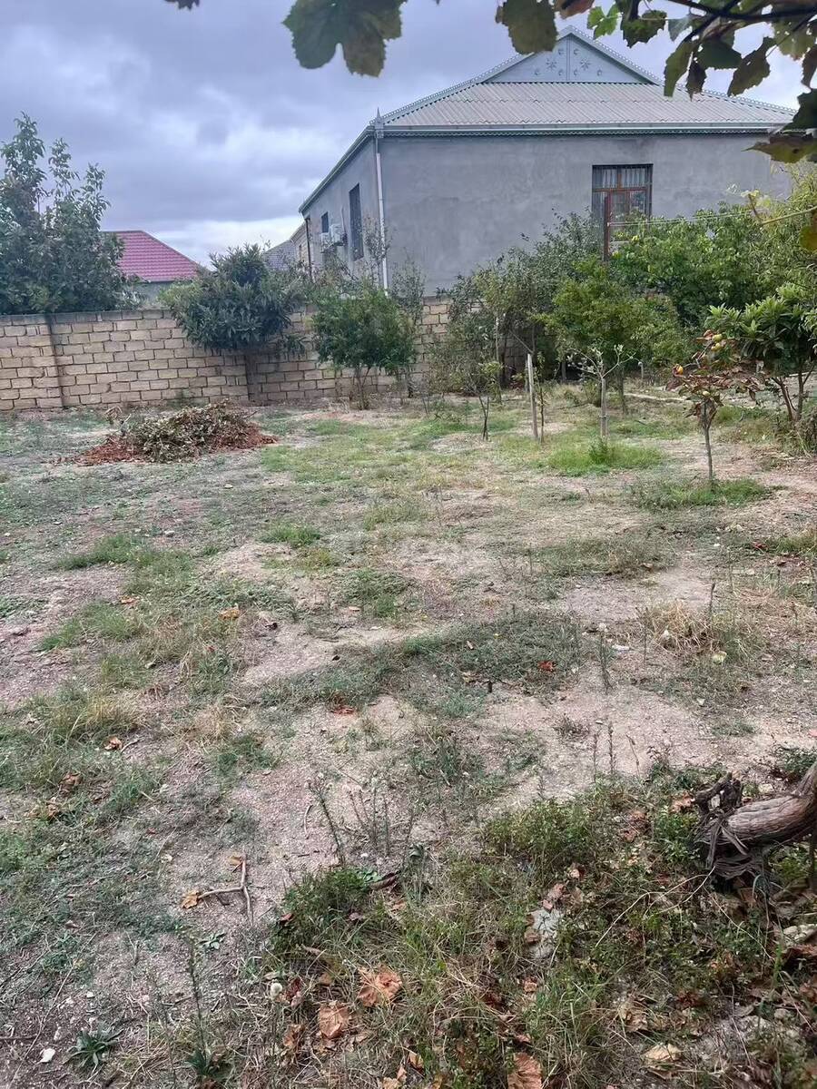Torpaq Mehdiabad q., Bakı