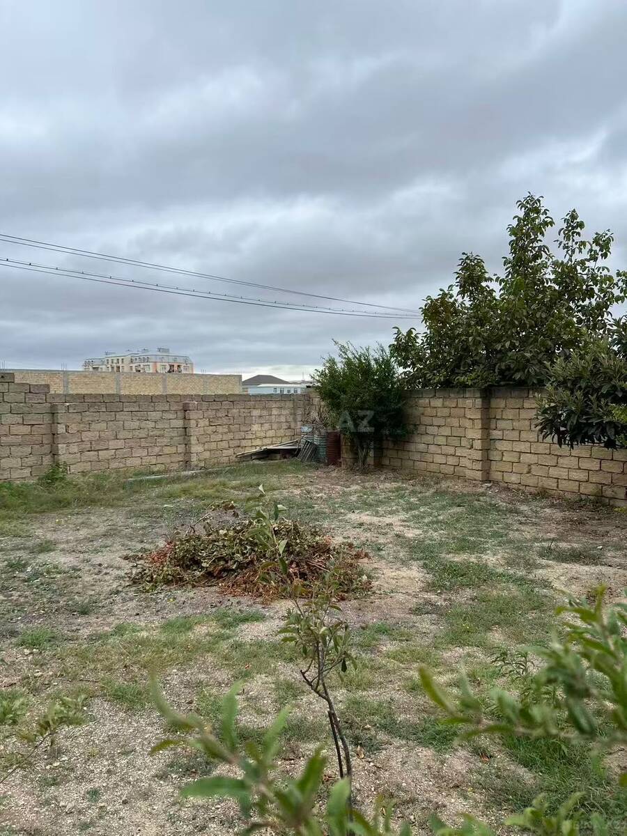 Torpaq Mehdiabad q., Bakı