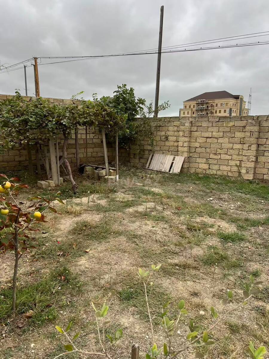 Torpaq Mehdiabad q., Bakı