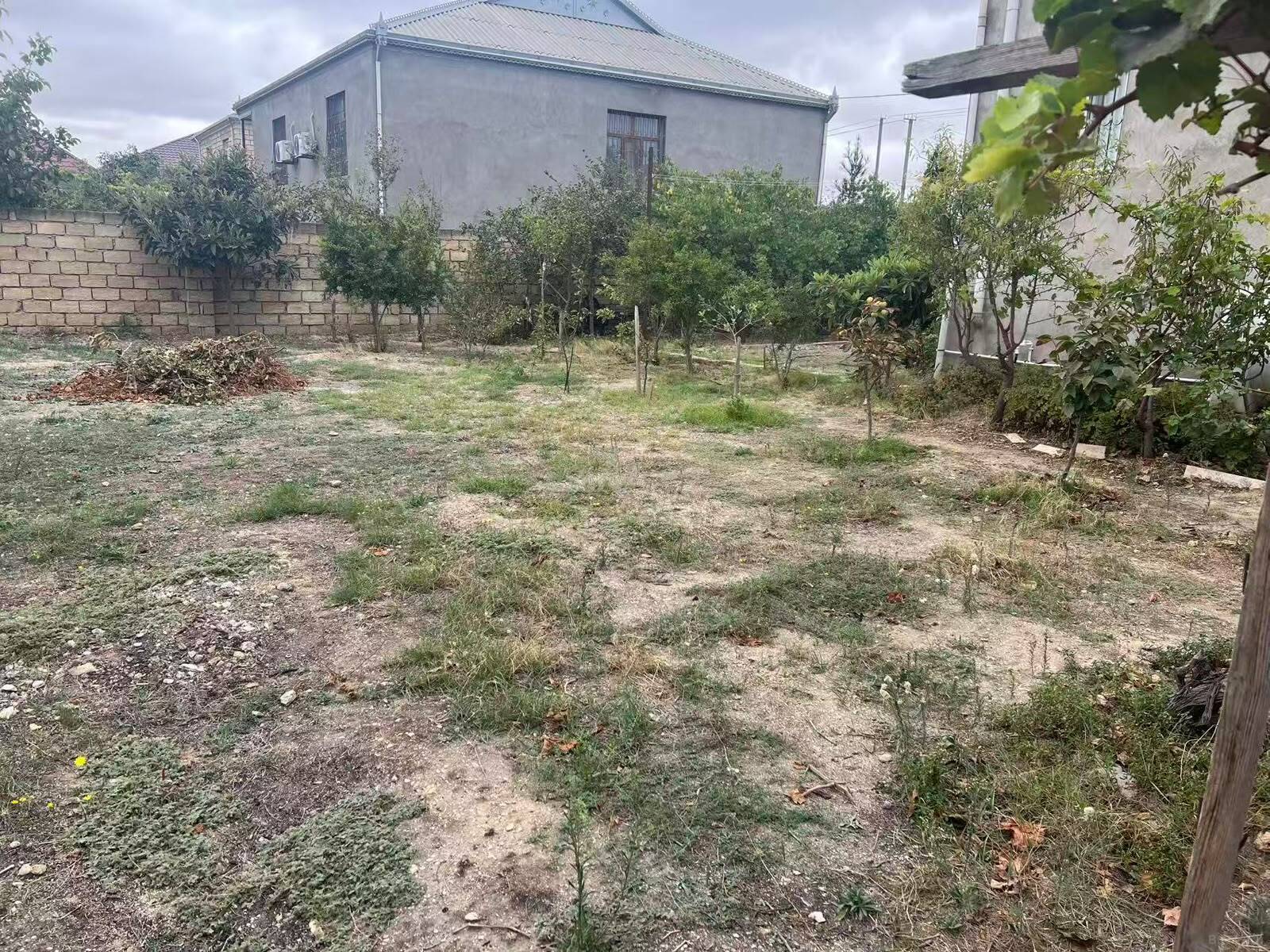 Torpaq Mehdiabad q., Bakı