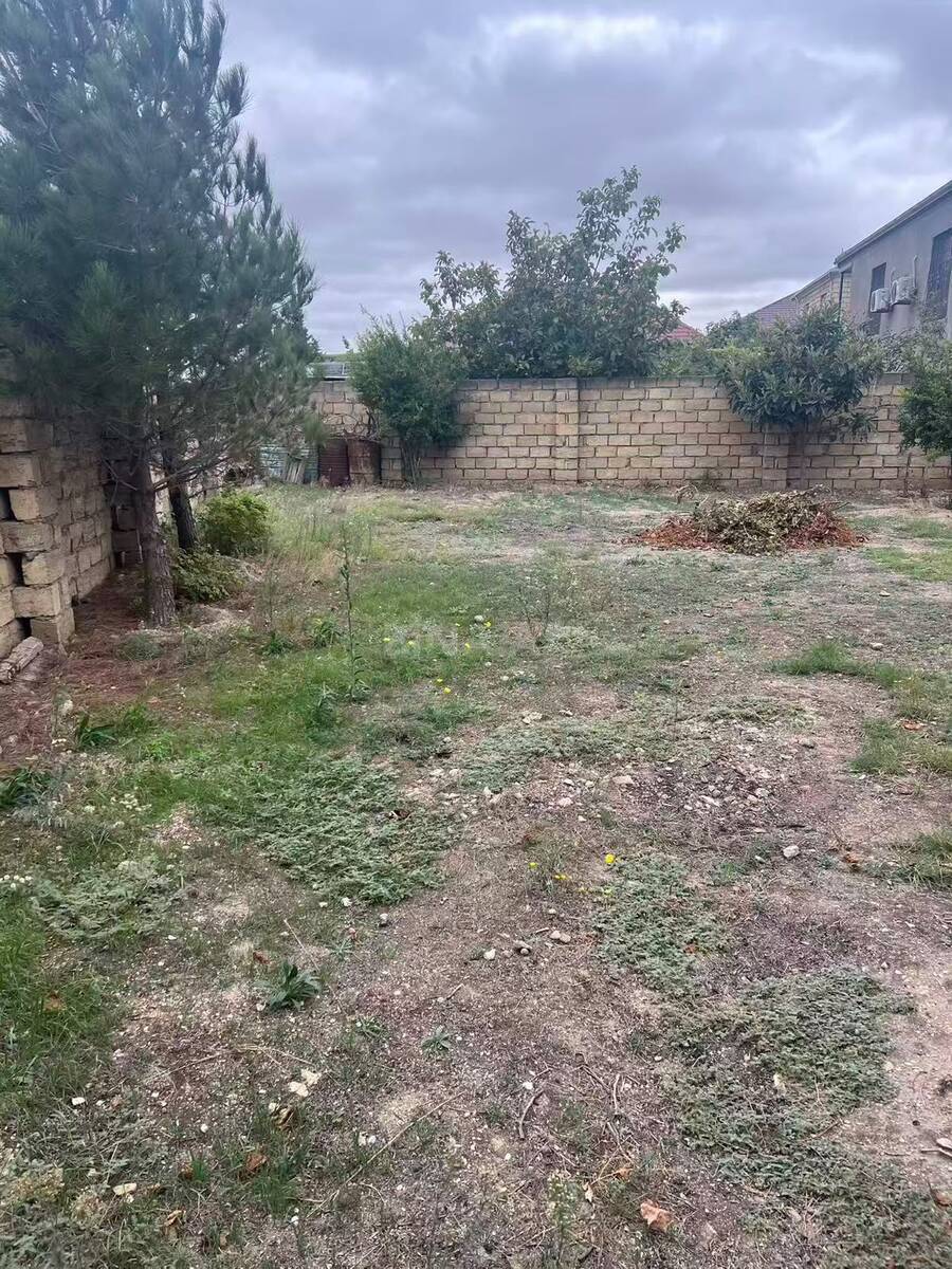 Torpaq Mehdiabad q., Bakı