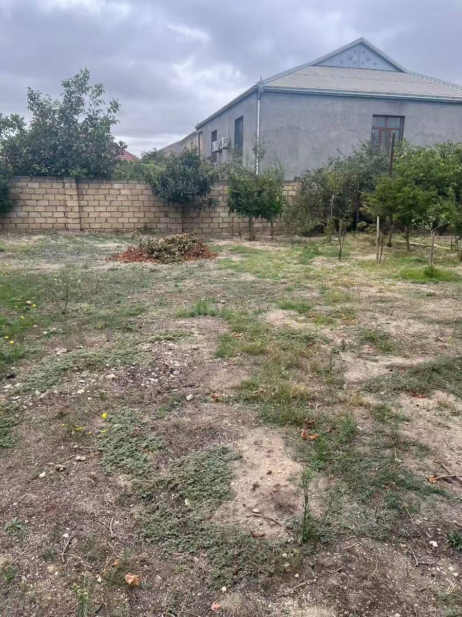 Torpaq Mehdiabad q., Bakı