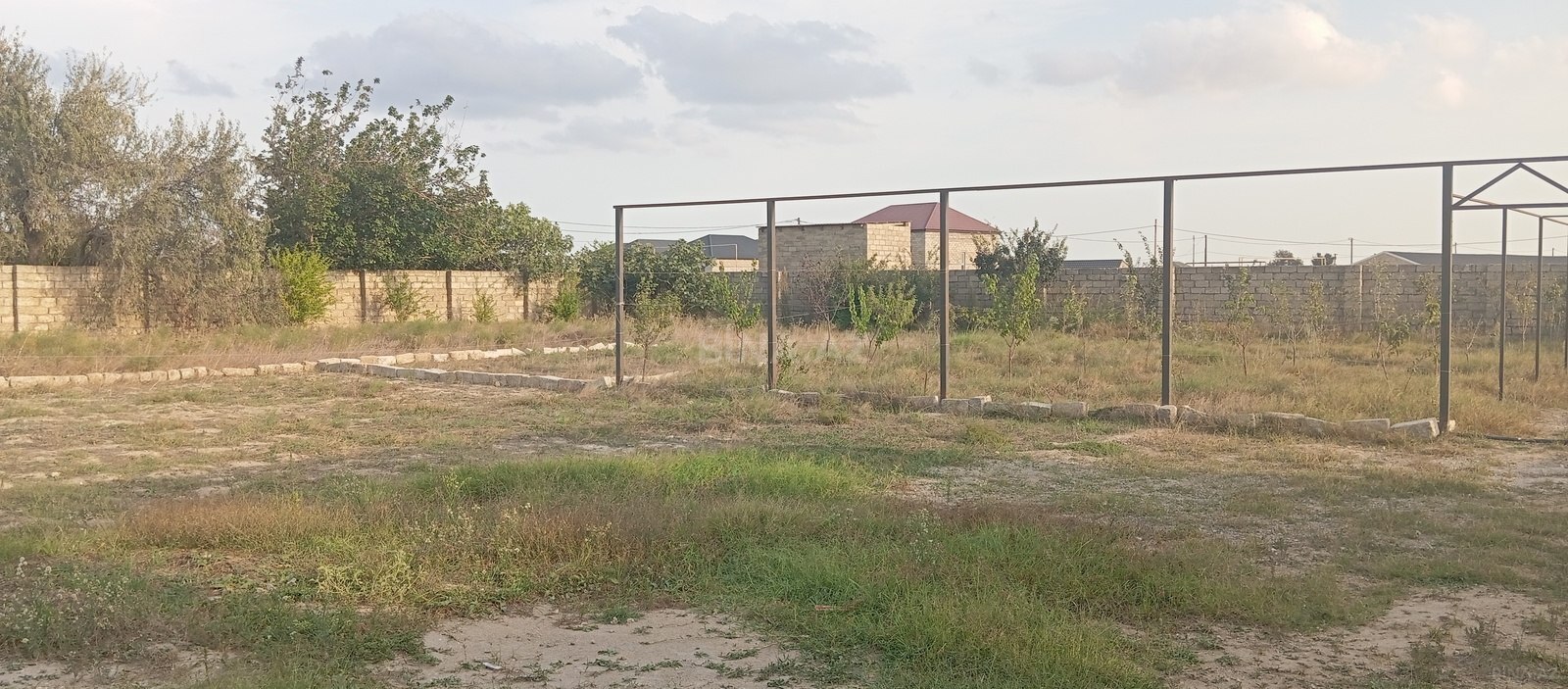 Torpaq Binə q., Bakı