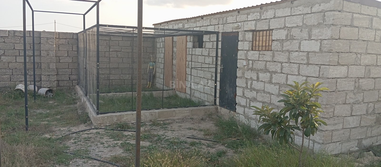 Torpaq Binə q., Bakı