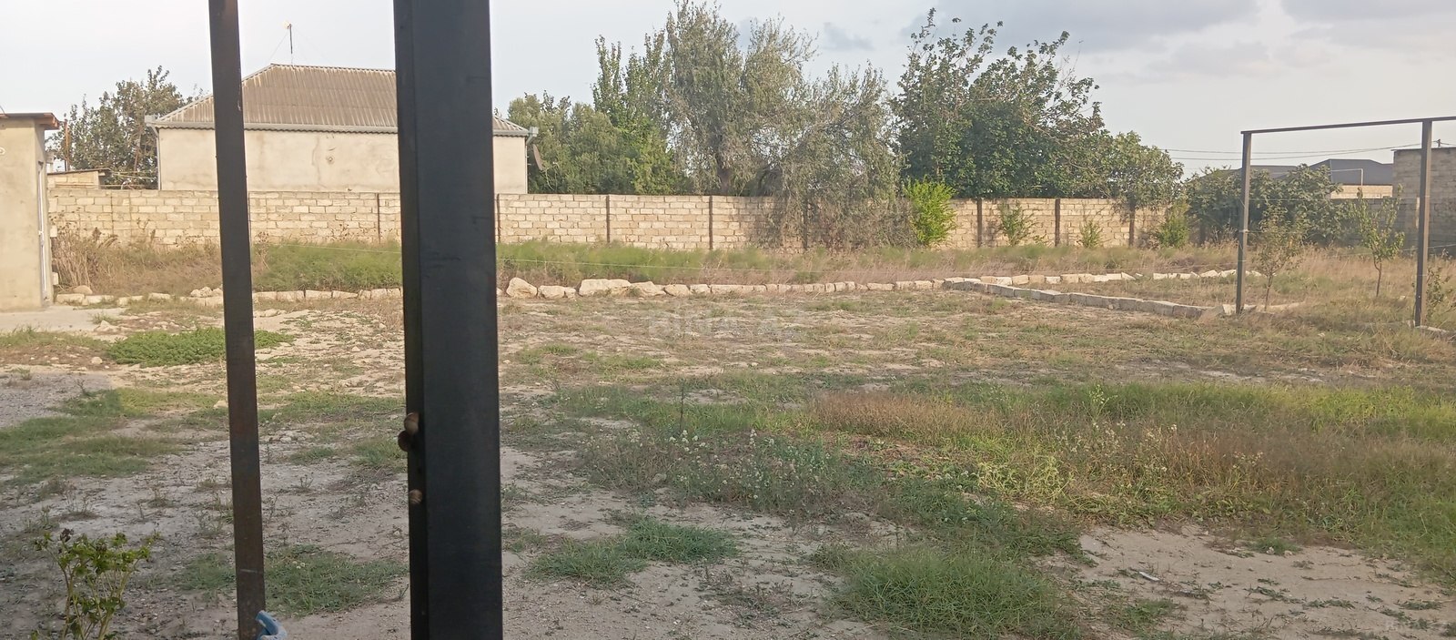 Torpaq Binə q., Bakı