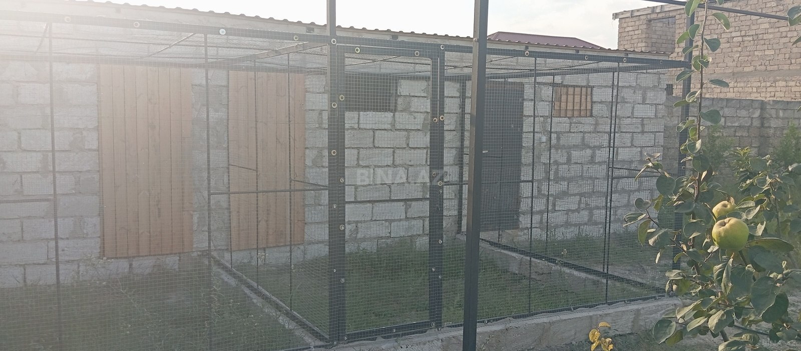 Torpaq Binə q., Bakı