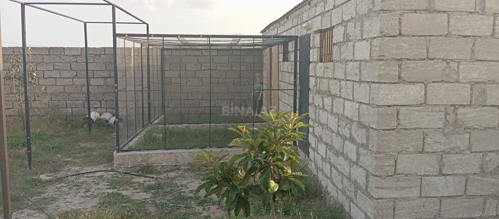 Torpaq Binə q., Bakı